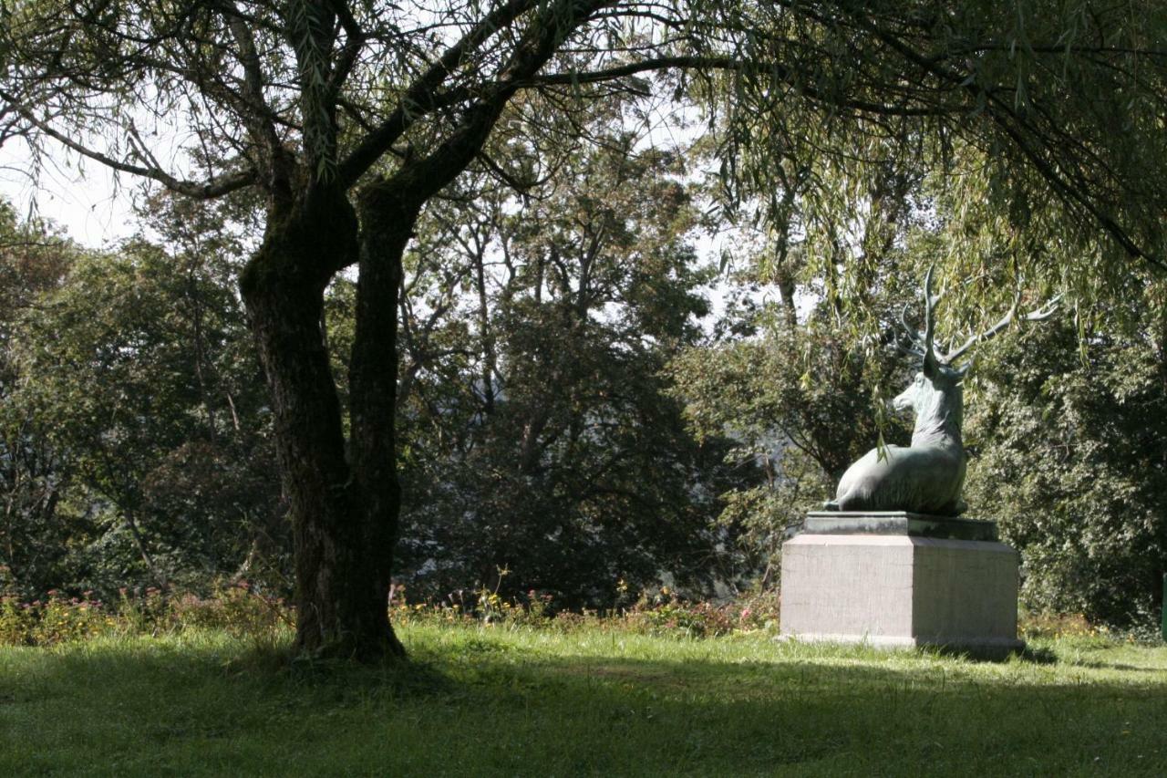Schloss Wittgenstein Apartment Bad Laasphe Luaran gambar